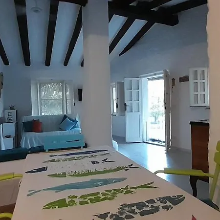 Viagramsci129 Holiday home